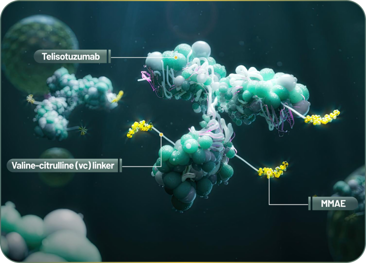 A molecular structure showing how EMRELIS works to target non-small cell lung cancer