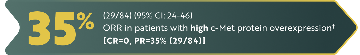 Text displaying 29% showing the percentage of people who had an objective response rate