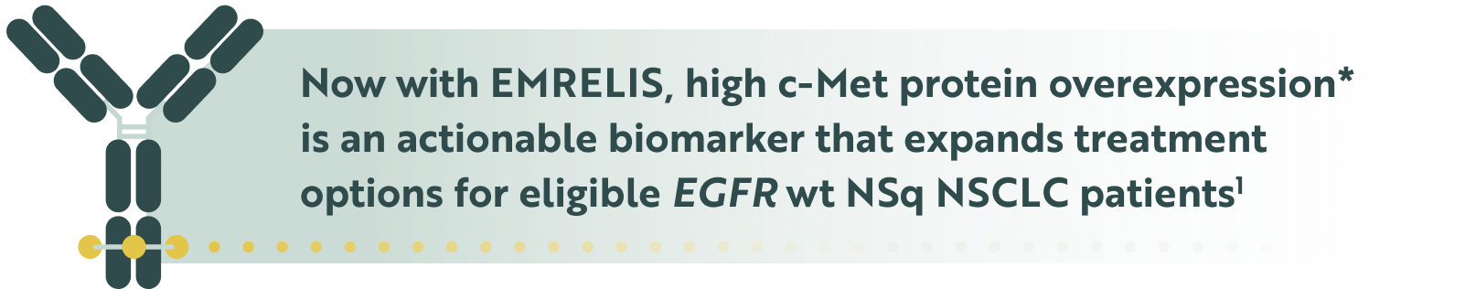 Blue antibody icon symbolizing c-met protein overexpression is an actionable biomarker